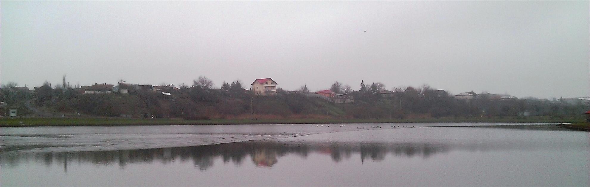 Floarea Popestiului 30 - 30 dec. - wp20131230006.jpg